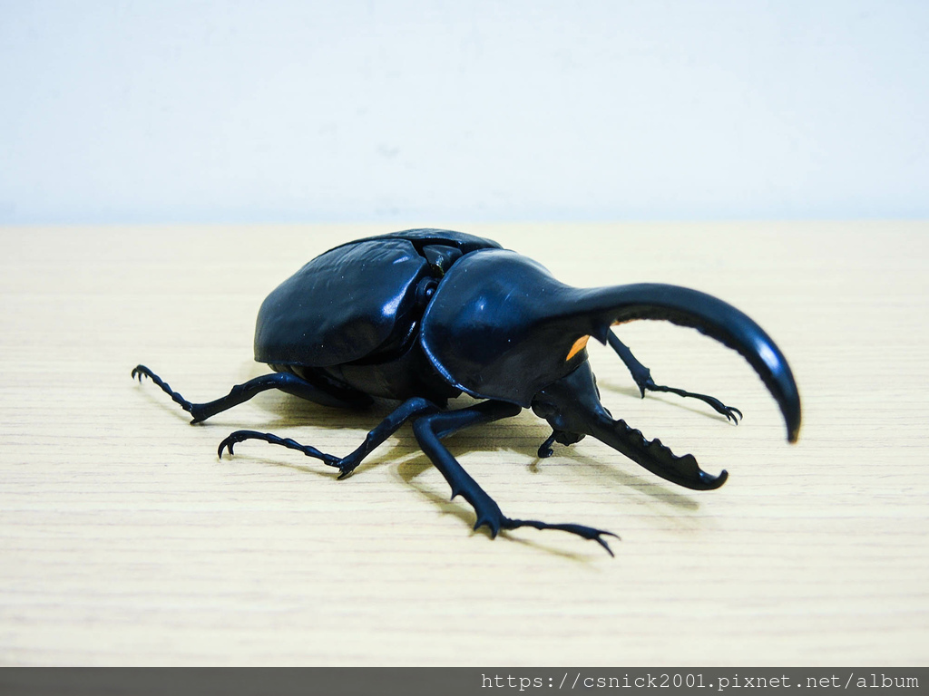 DSCN8052.jpg DSCN8052.jpg