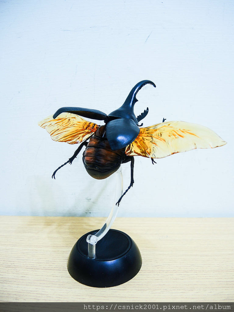 DSCN8062.jpg DSCN8062.jpg