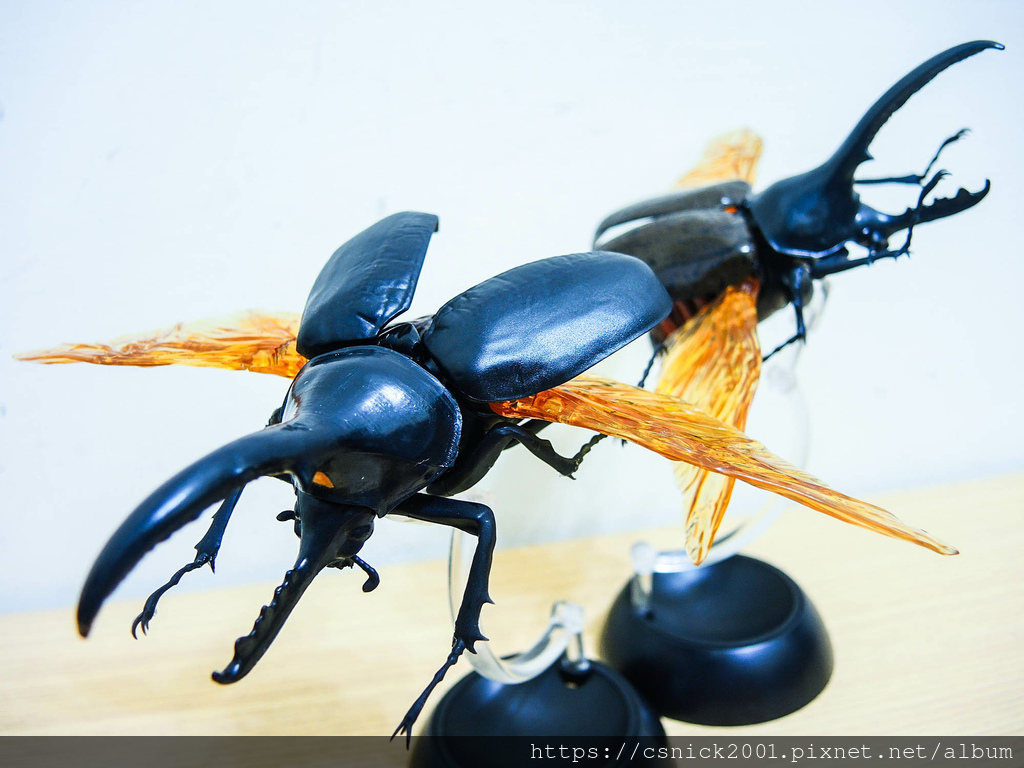 DSCN8103.jpg DSCN8103.jpg