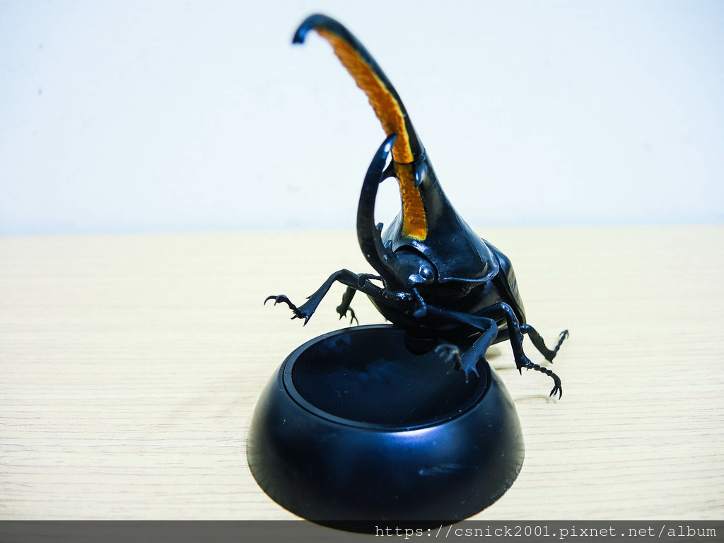 DSCN8112.jpg DSCN8112.jpg