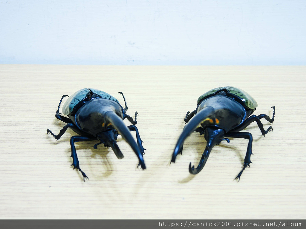 DSCN8145.jpg DSCN8145.jpg