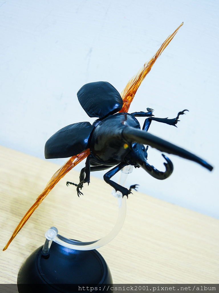 DSCN8207.jpg DSCN8207.jpg