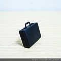 DSCN7817.jpg