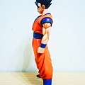 DSCN9579.jpg