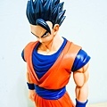 DSCN9702.jpg