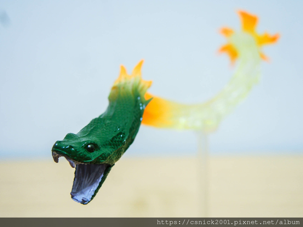 DSCN8097.jpg DSCN8097.jpg