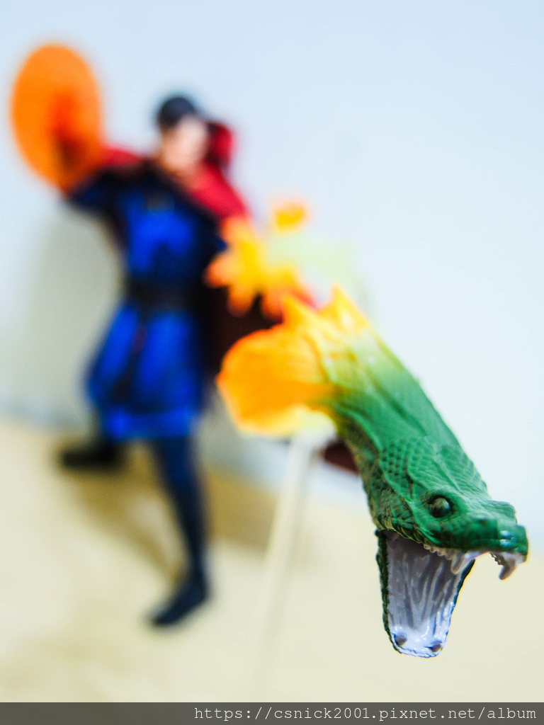 DSCN8217.jpg DSCN8217.jpg