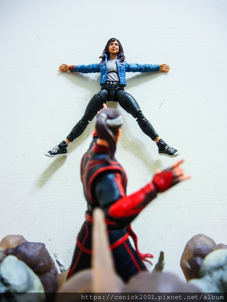 DSCN8231.jpg DSCN8231.jpg