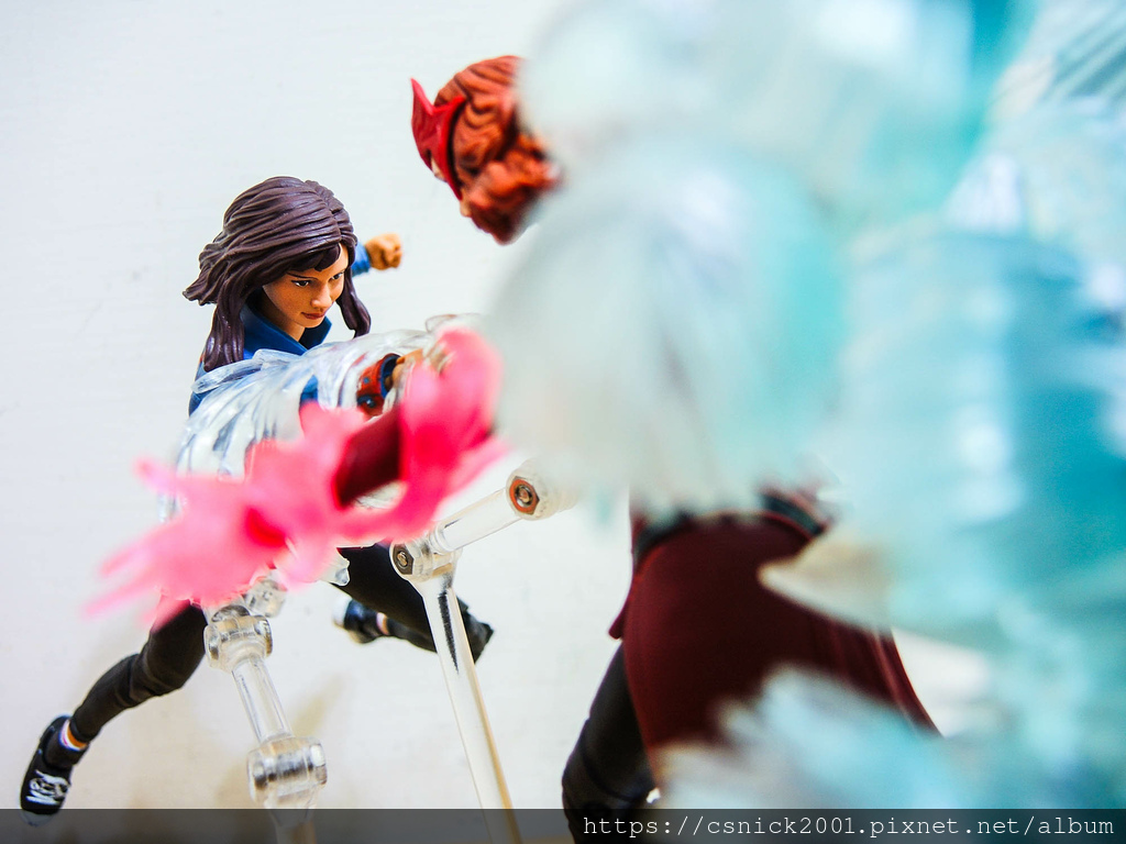 DSCN8253.jpg DSCN8253.jpg