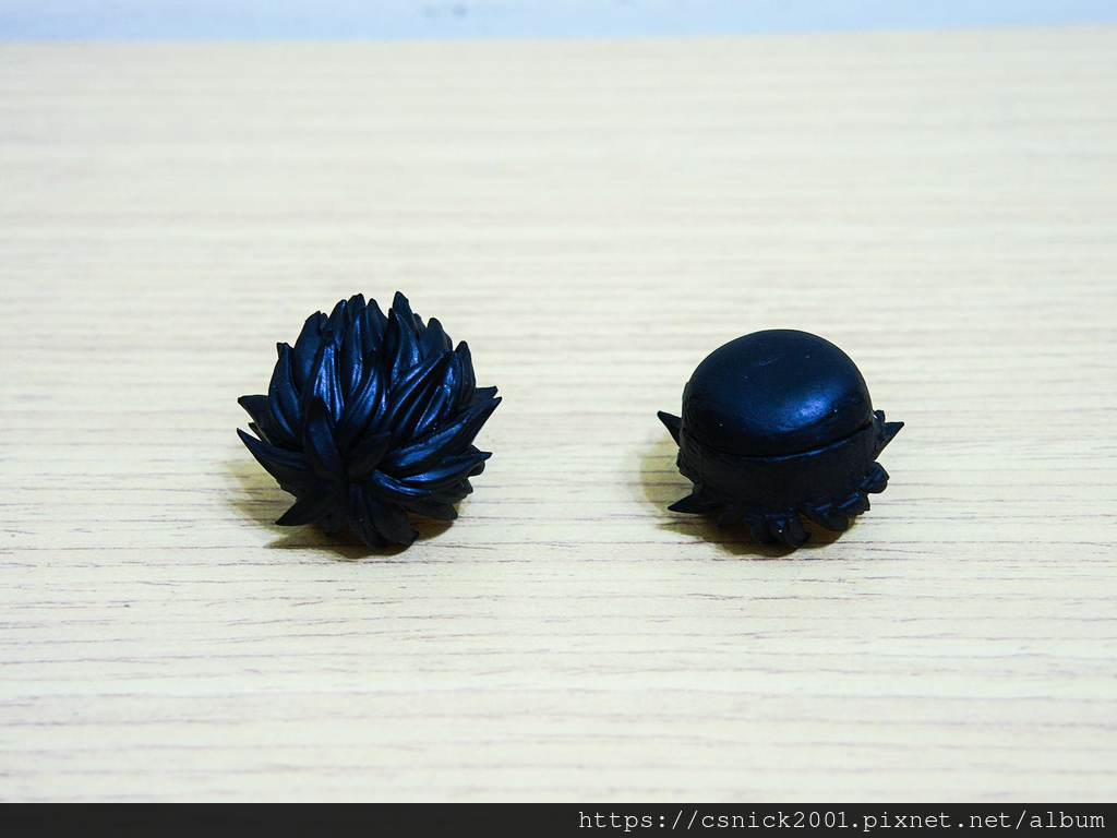 DSCN9627.jpg DSCN9627.jpg