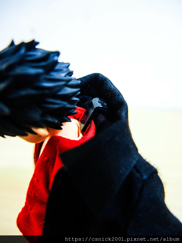 DSCN9698.jpg DSCN9698.jpg