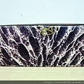 DSCN8759.jpg