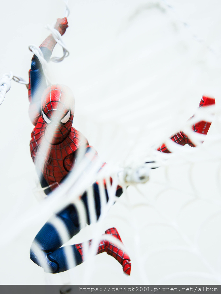 DSCN3081.jpg DSCN3081.jpg