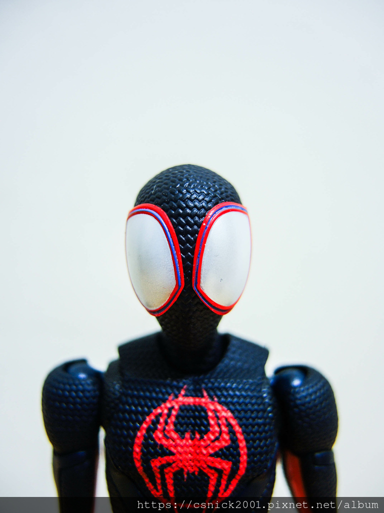 DSCN8950.jpg DSCN8950.jpg