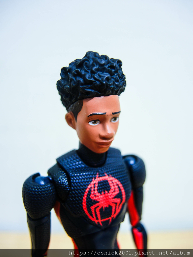 DSCN8967.jpg DSCN8967.jpg