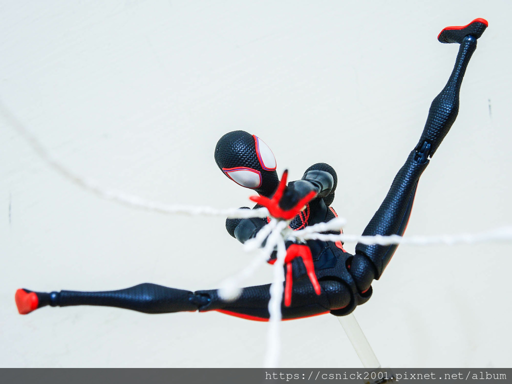 DSCN9234.jpg DSCN9234.jpg