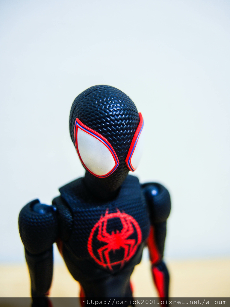 DSCN9601.jpg DSCN9601.jpg