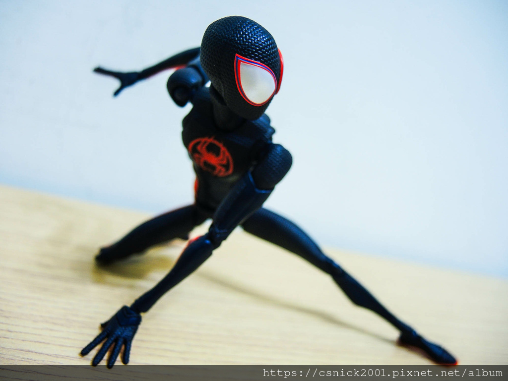 DSCN9610.jpg DSCN9610.jpg