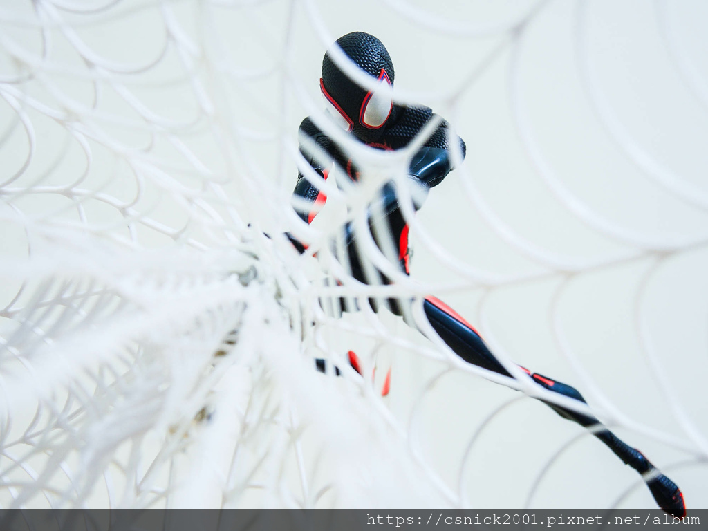 DSCN9615.jpg DSCN9615.jpg