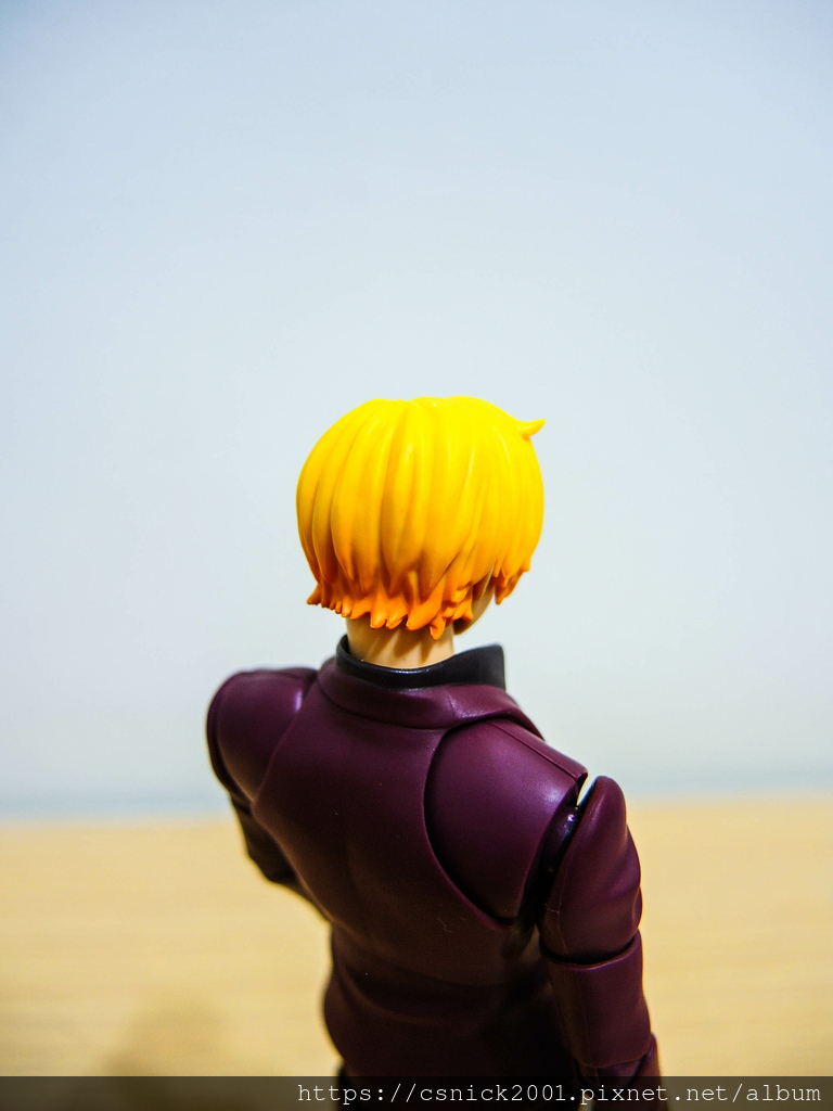 DSCN3015.jpg DSCN3015.jpg