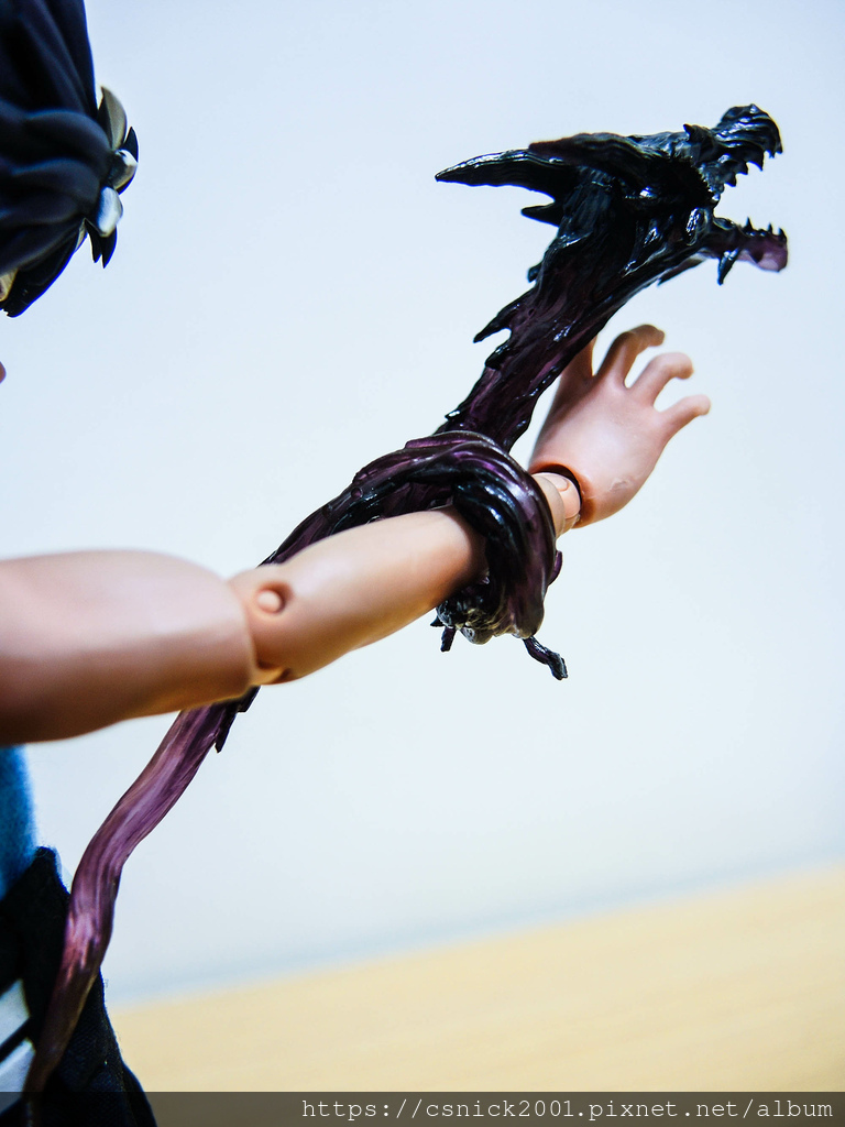 DSCN3918.jpg DSCN3918.jpg