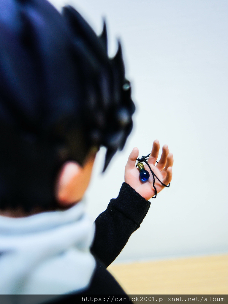 DSCN3955.jpg DSCN3955.jpg