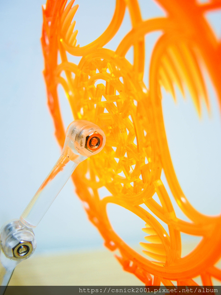 DSCN5550.jpg DSCN5550.jpg