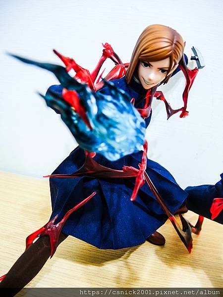 DSCN9811.jpg