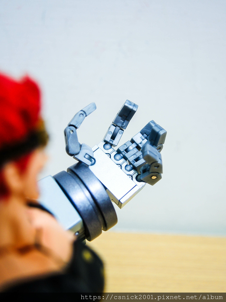 DSCN0355.jpg DSCN0355.jpg