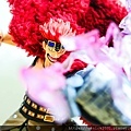 DSCN0480.jpg