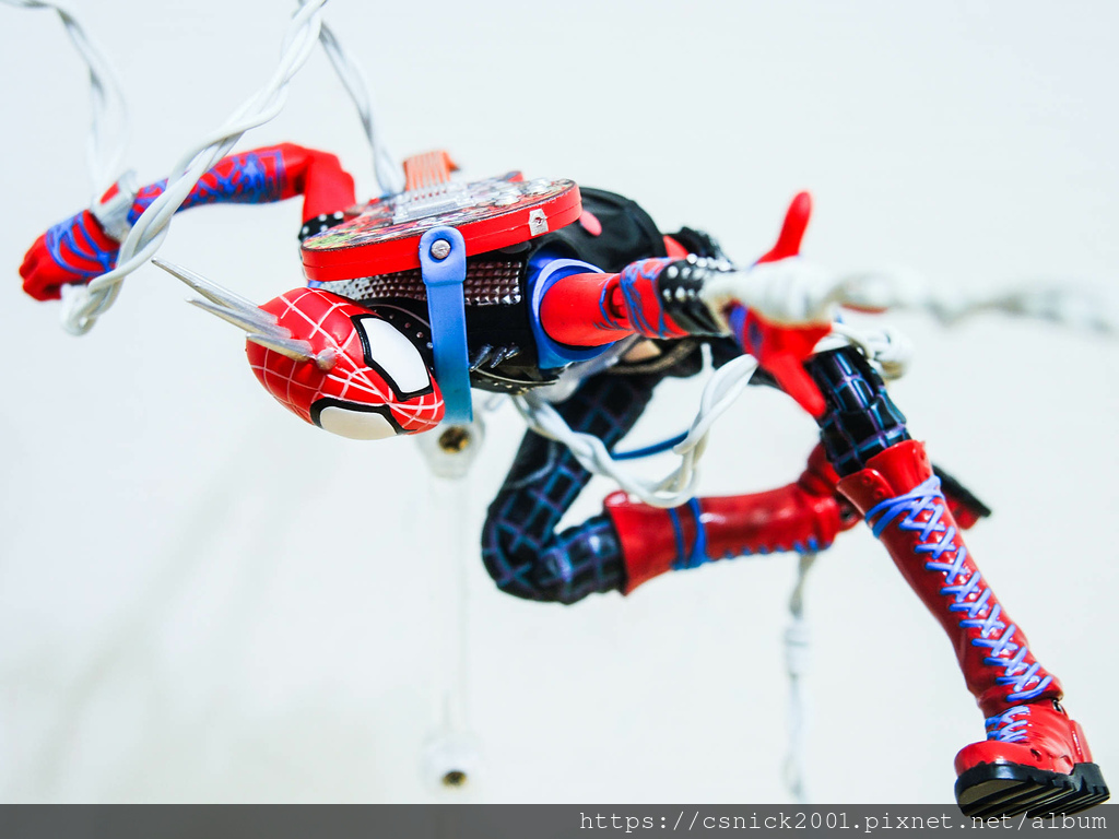 DSCN2935.jpg DSCN2935.jpg