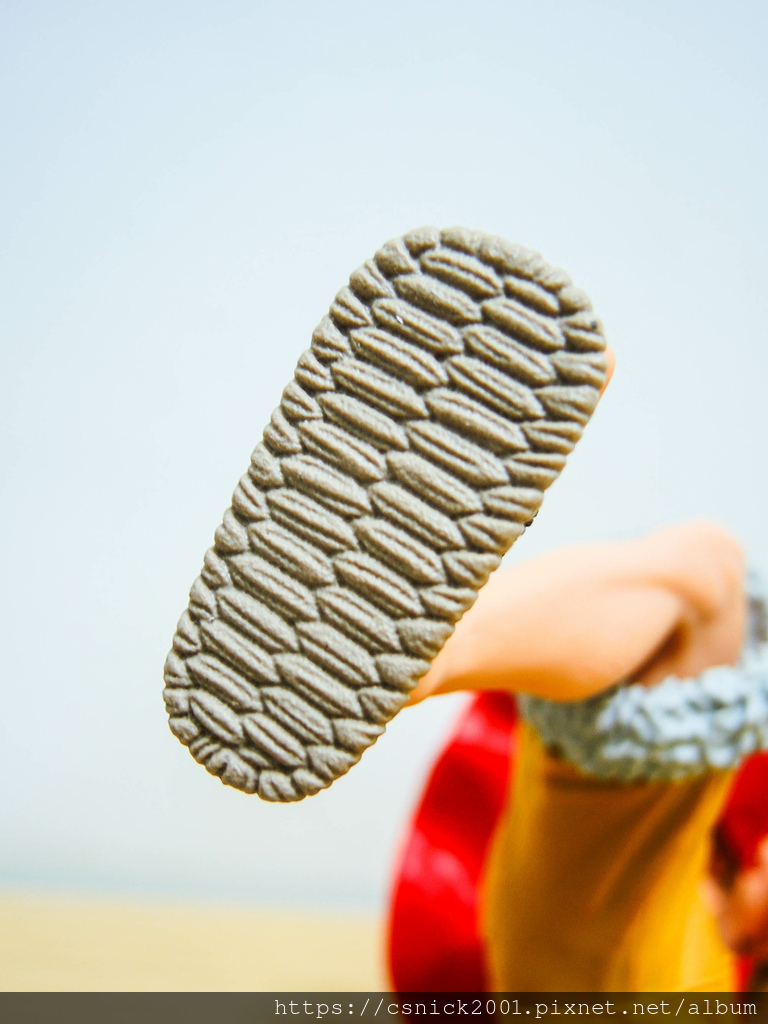 DSCN2906.jpg DSCN2906.jpg