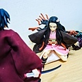 DSCN3593.jpg