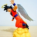 DSCN4621.jpg