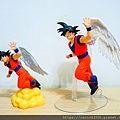 DSCN4680.jpg