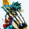DSCN6478.jpg