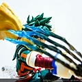 DSCN6479.jpg