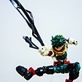 DSCN6485.jpg