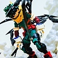 DSCN6488.jpg