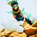 DSCN6507.jpg