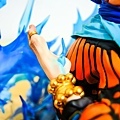 DSCN6906.jpg