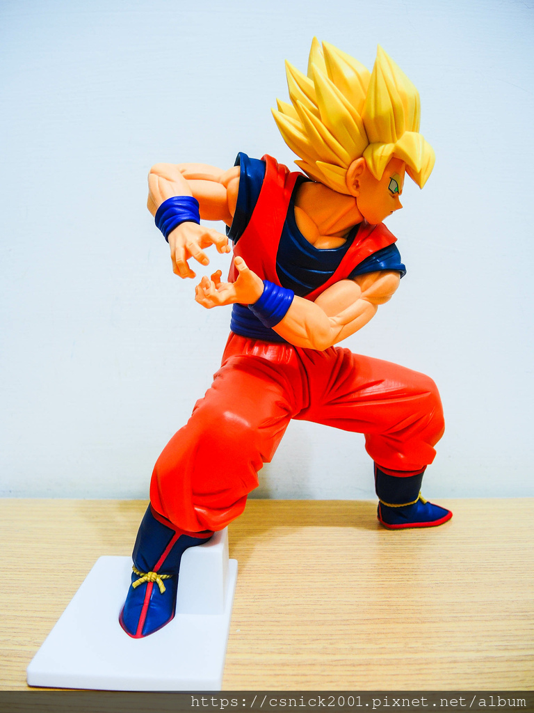 DSCN1243.jpg DSCN1243.jpg