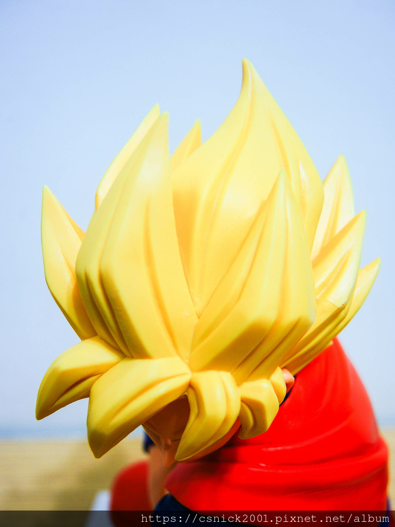 DSCN1267.jpg DSCN1267.jpg