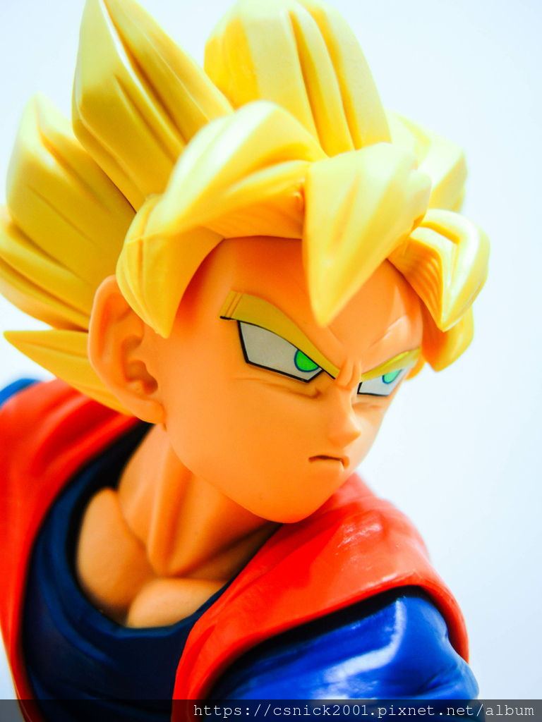 DSCN1264.jpg DSCN1264.jpg