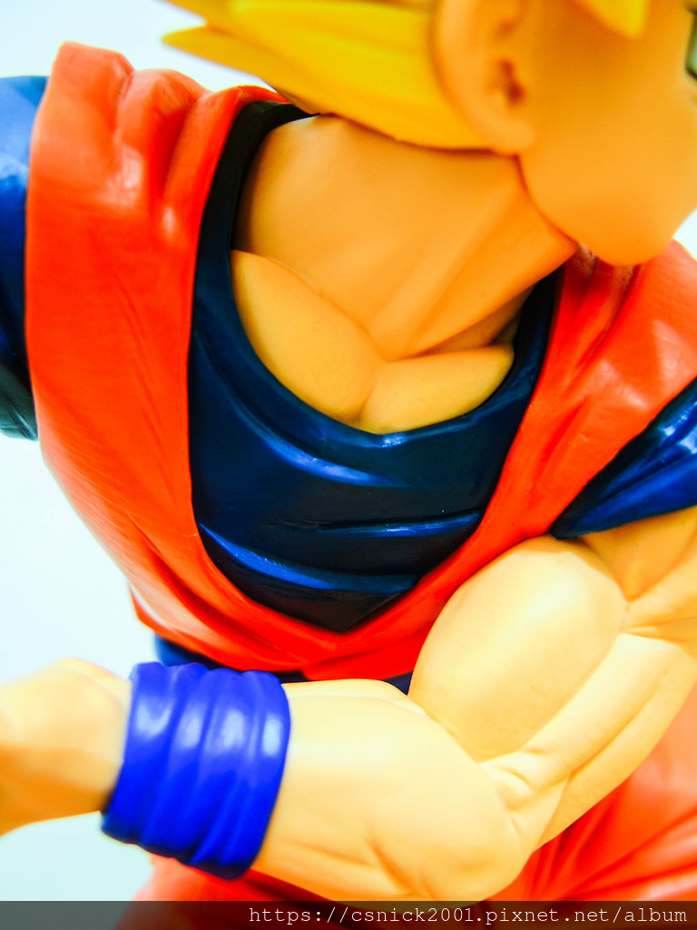 DSCN1273.jpg DSCN1273.jpg