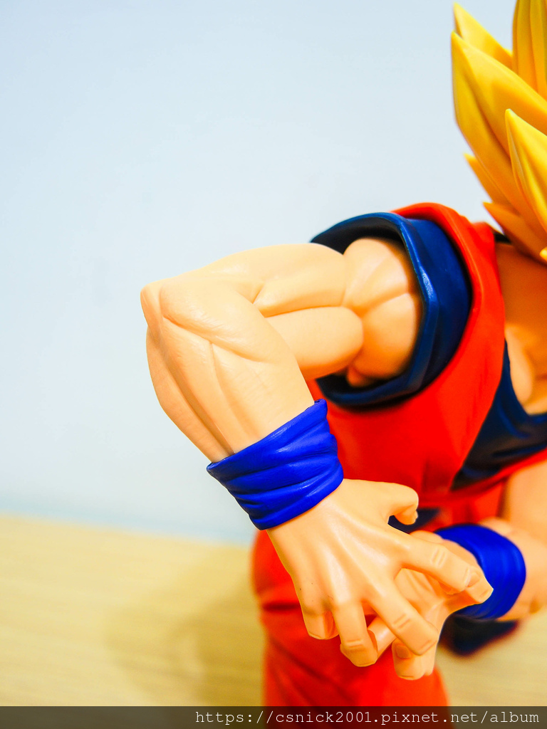 DSCN1276.jpg DSCN1276.jpg