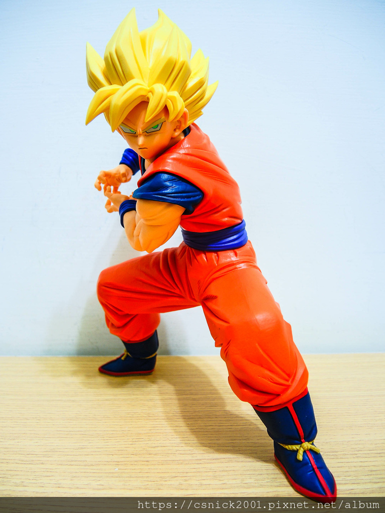 DSCN1301.jpg DSCN1301.jpg