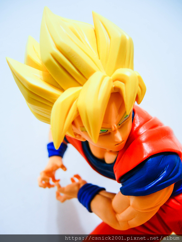 DSCN1306.jpg DSCN1306.jpg