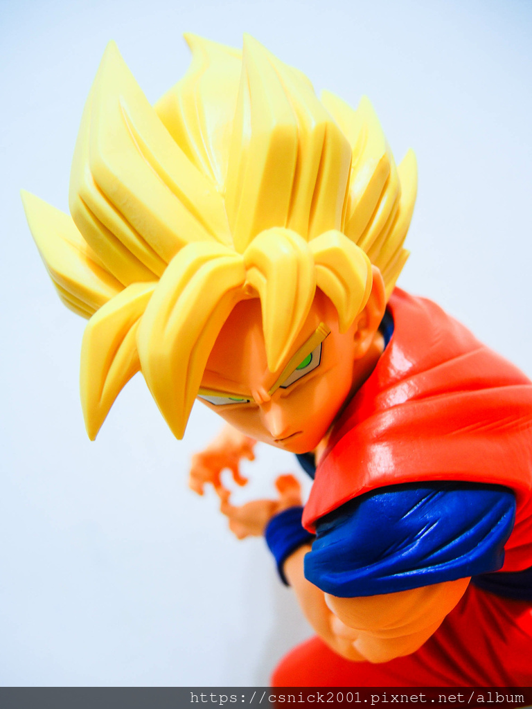 DSCN1502.jpg DSCN1502.jpg