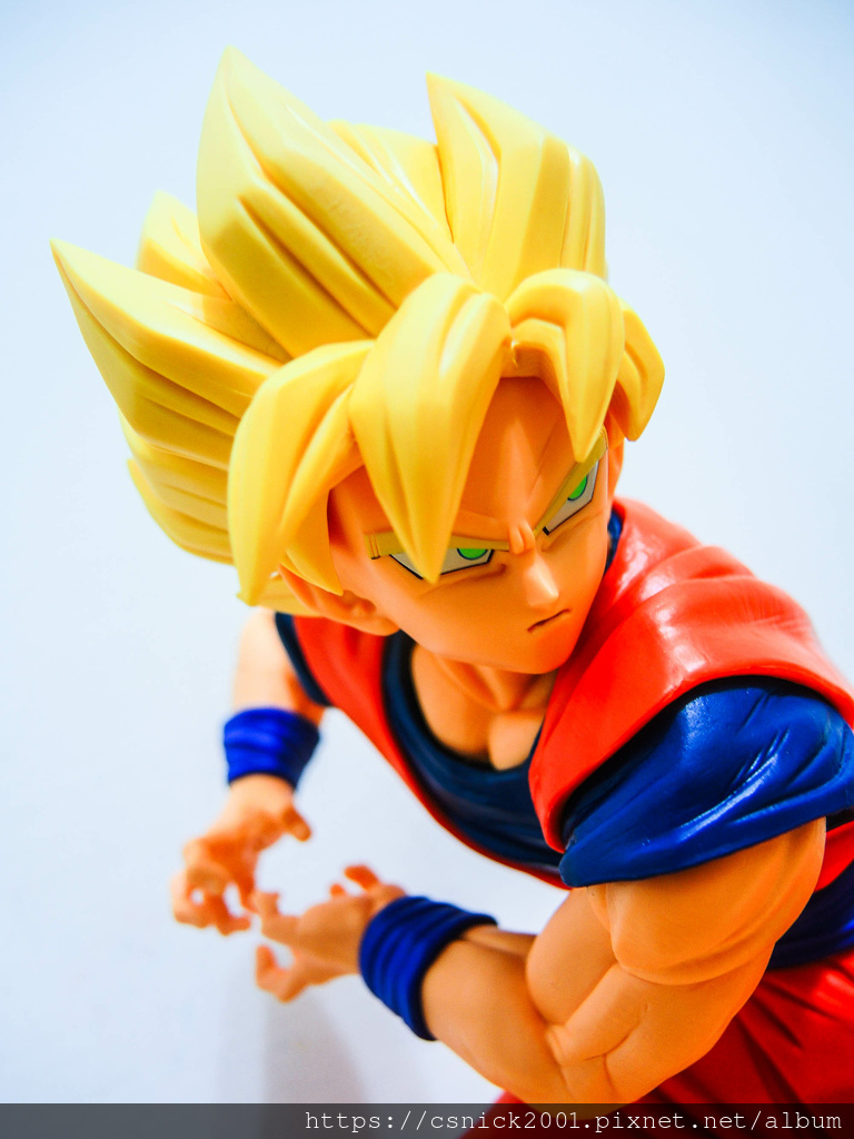 DSCN1503.jpg DSCN1503.jpg